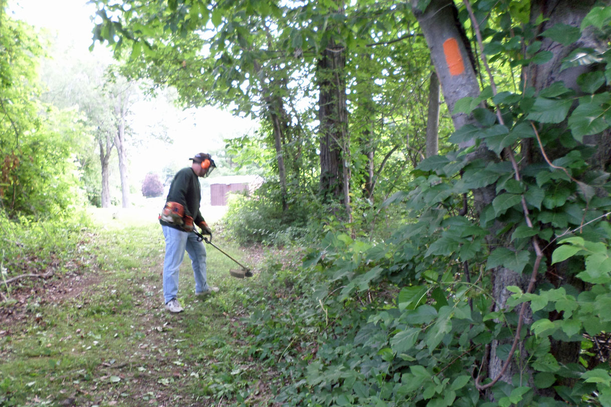 Weed Whacking Team working on Dart Hill North Hiking Trail behind Vernon Gardens.